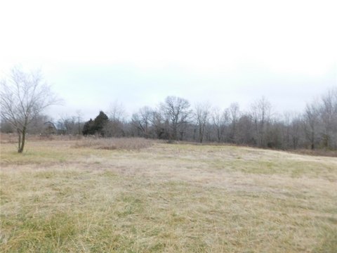 Pea Ridge Commercial Land