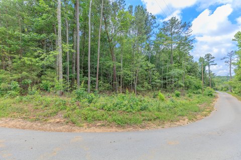 LAND - Chickamauga, GA