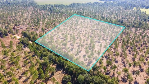 Aiken County Land Parcel