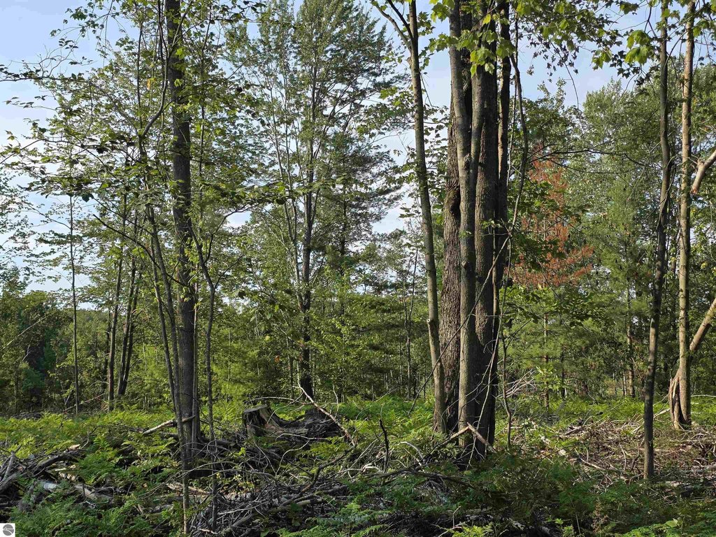 Picture 36