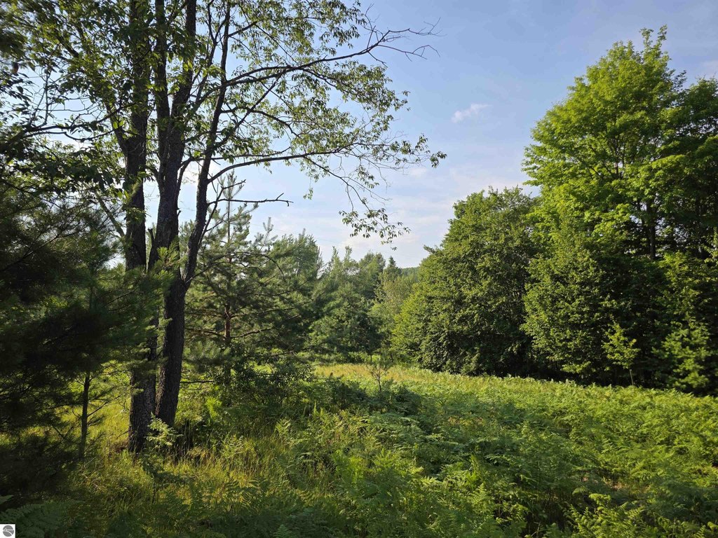 Picture 25