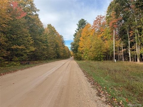 Kalkaska Vacant Land Opportunity