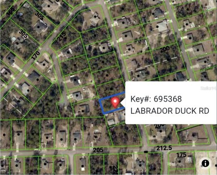Land, WEEKI WACHEE, FL