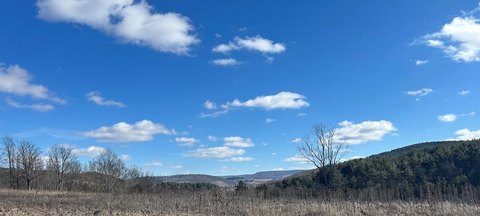 Covington Land For Sale