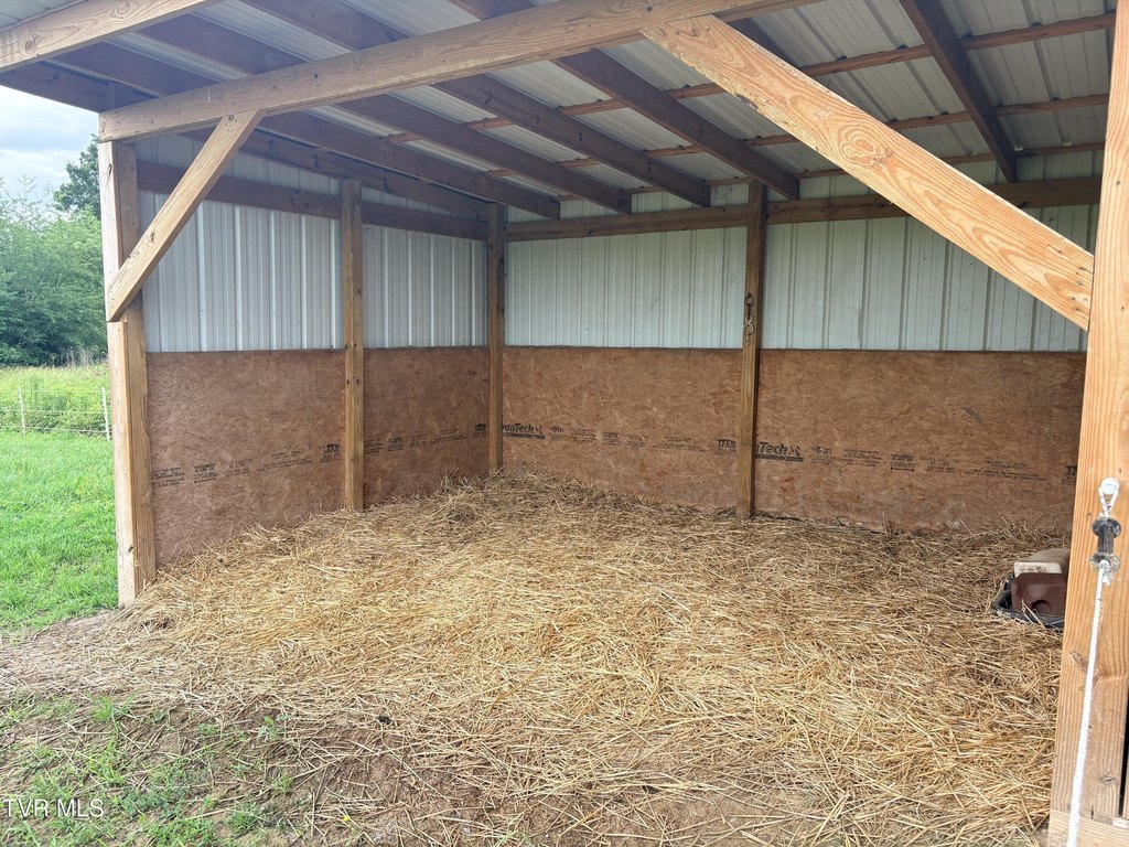 Picture 21
