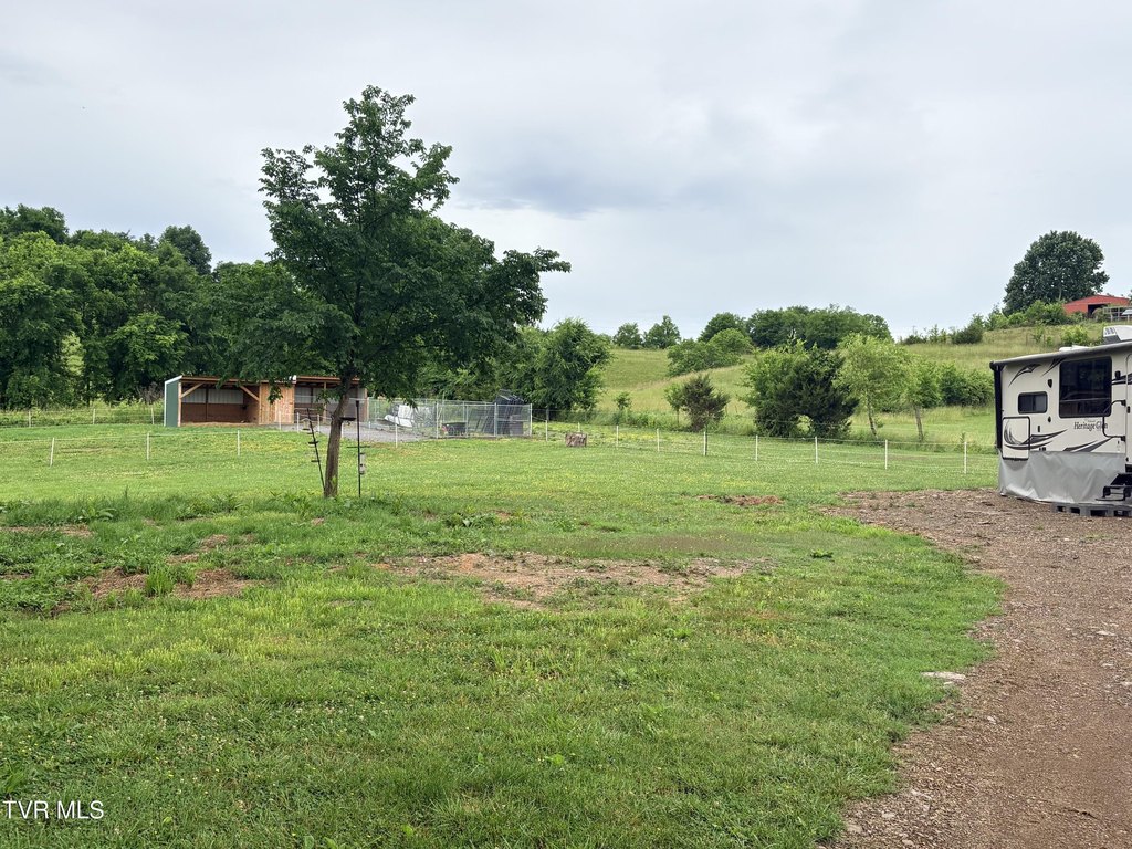 Picture 28