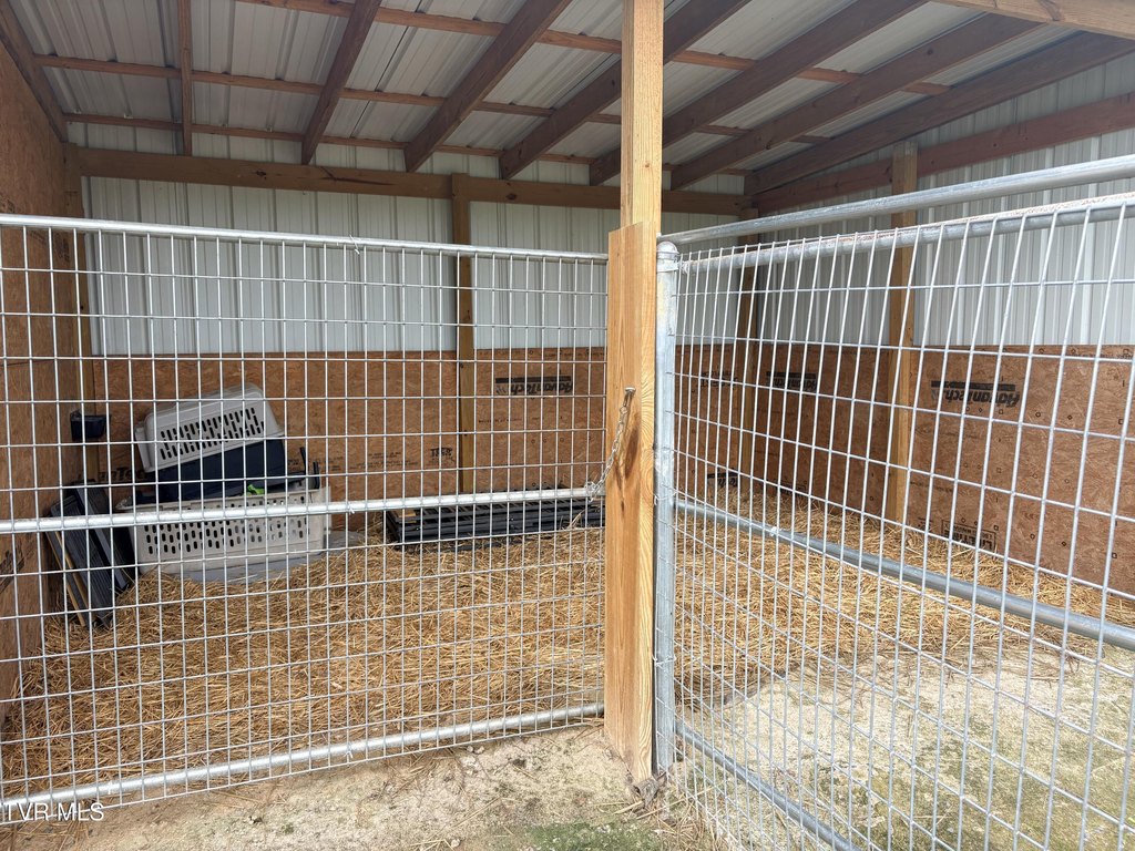 Picture 20