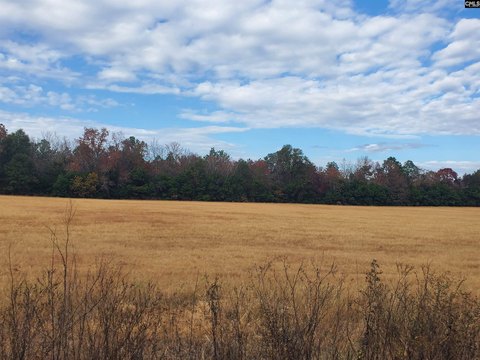 Pelion, SC Residential Land