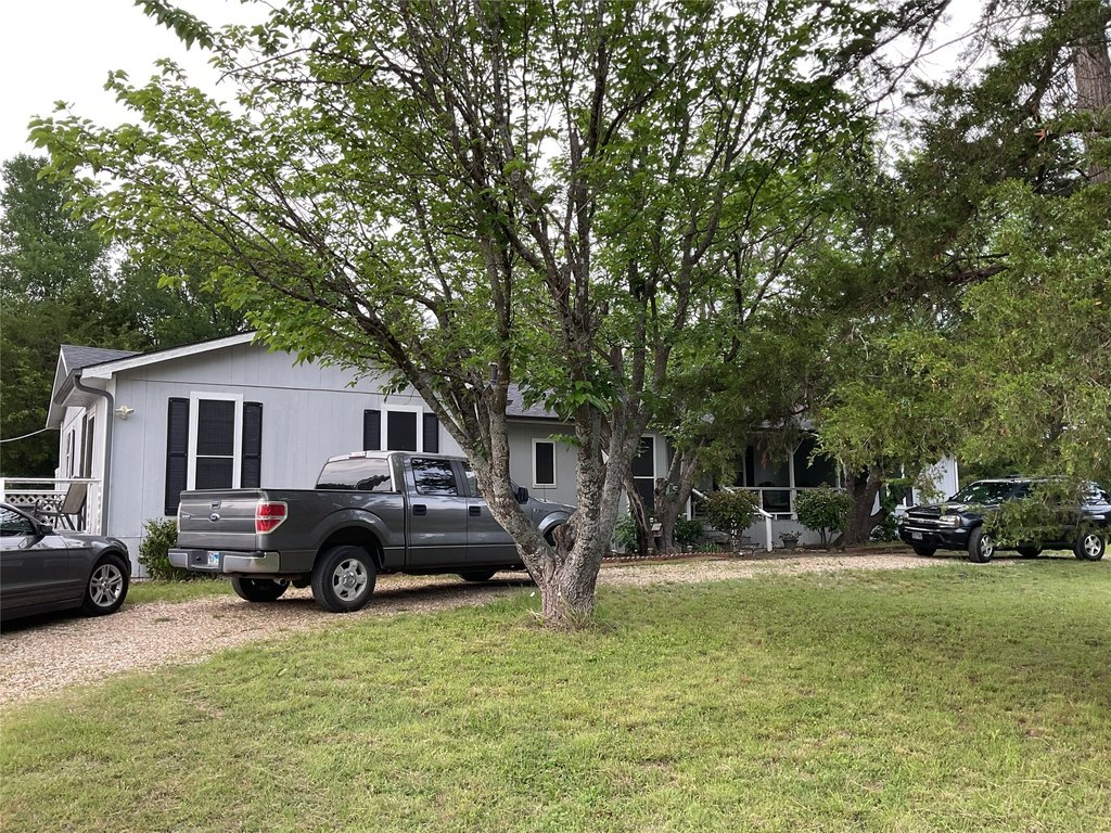 Picture 21