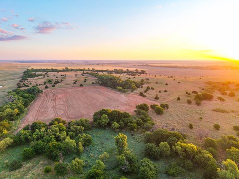 Recreational Hunting and Tillable Land