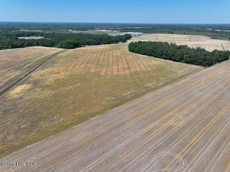 Hoke County Farm Land