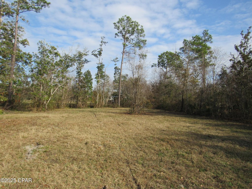 Picture 19