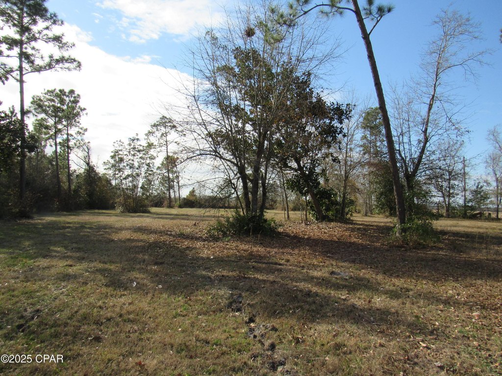 Picture 18