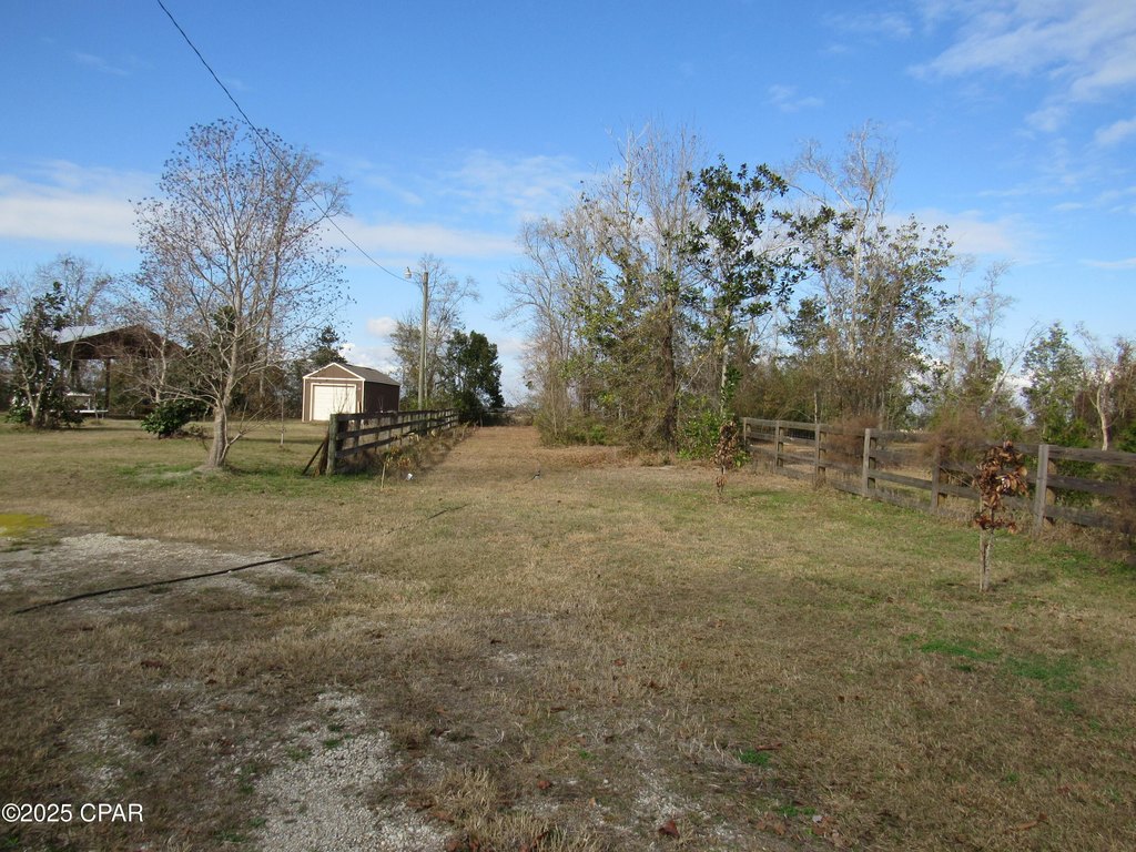 Picture 3