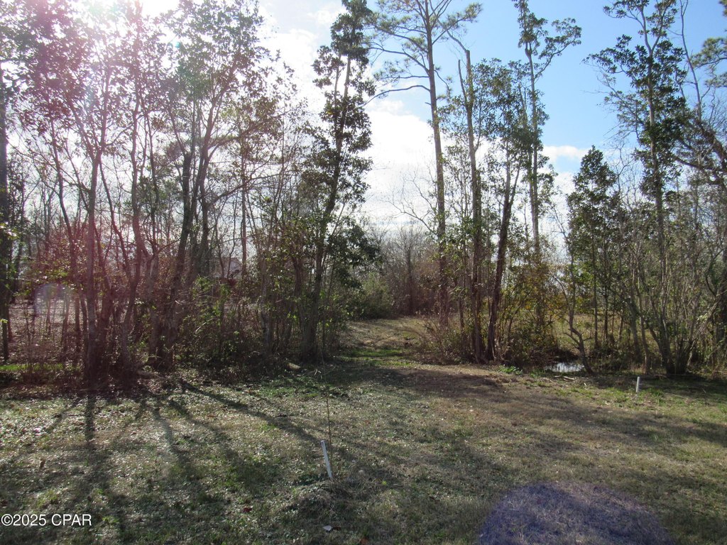 Picture 21