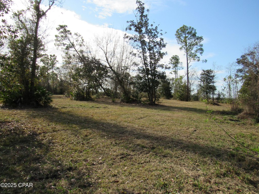 Picture 16