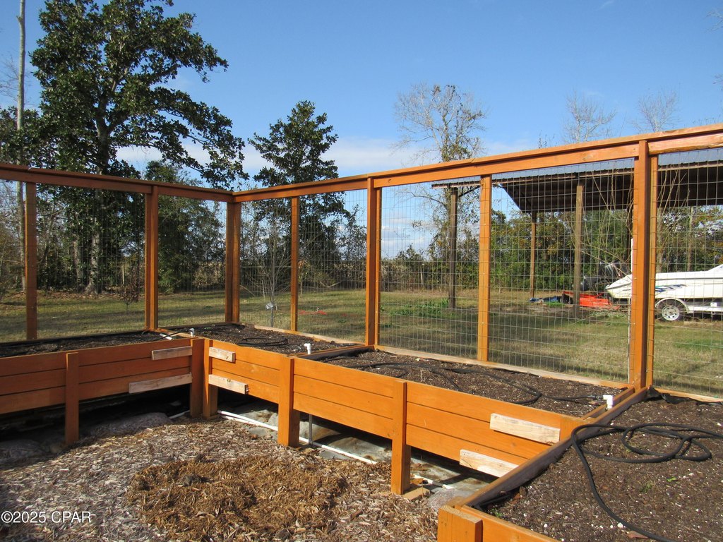 Picture 11