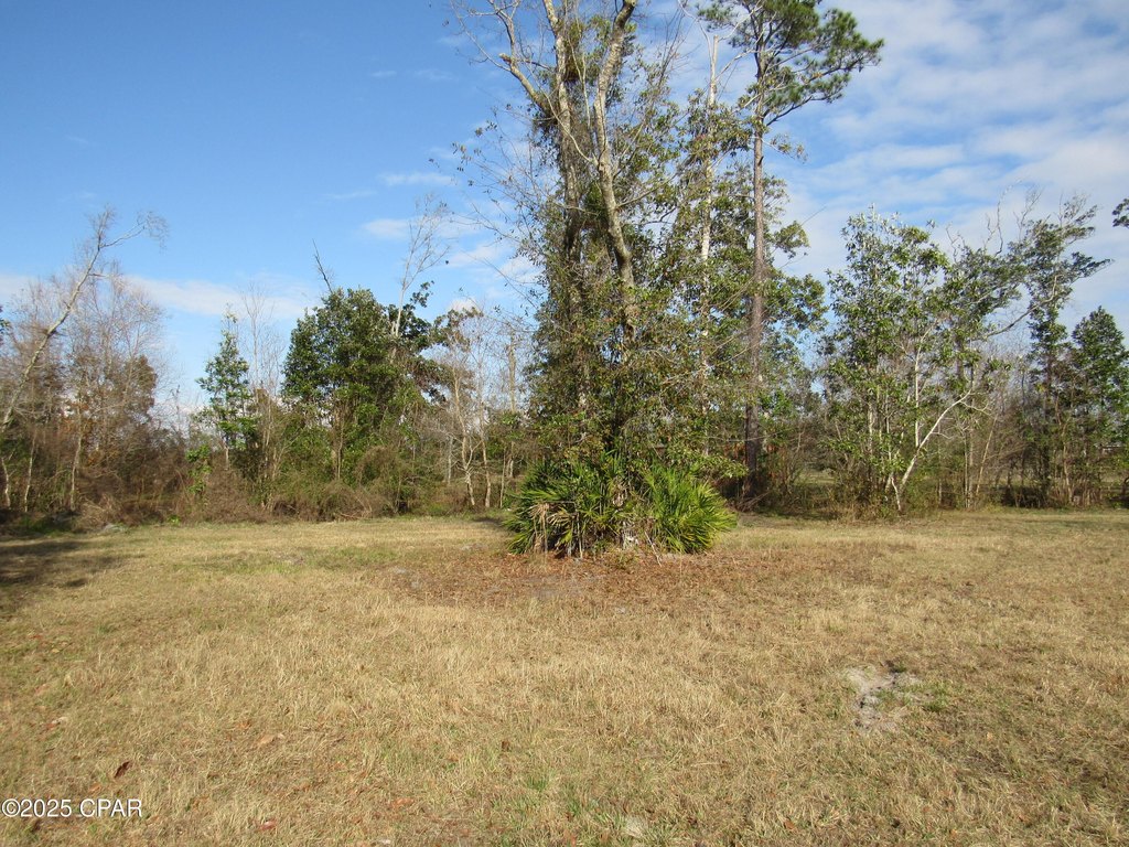 Picture 20
