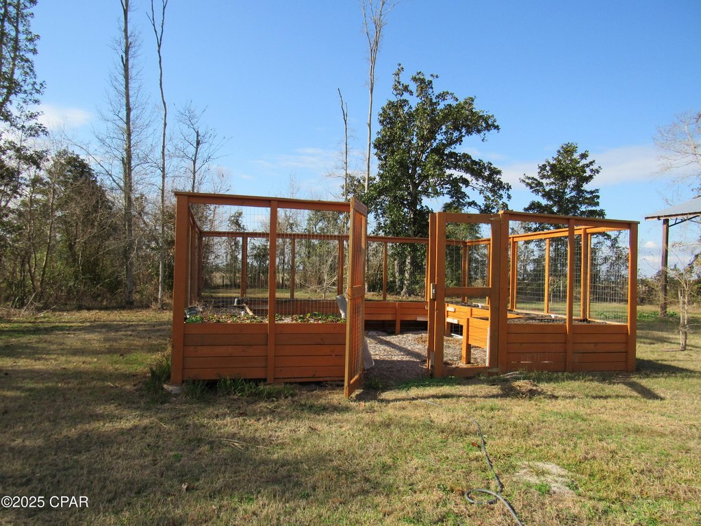 Picture 10