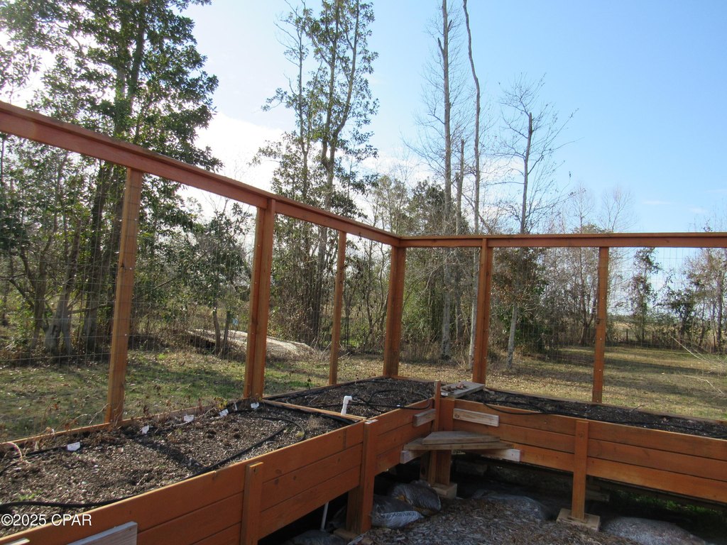 Picture 13