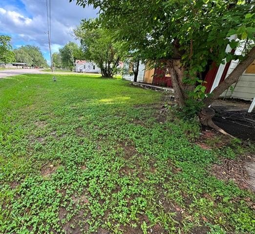Picture 21