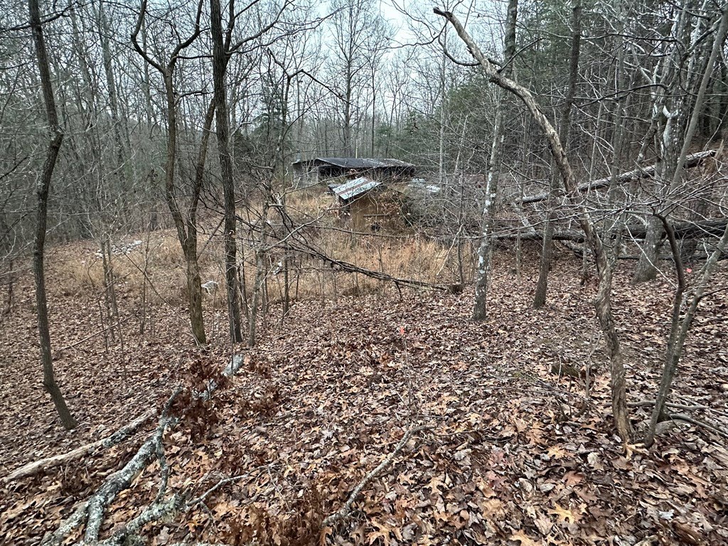 Picture 14