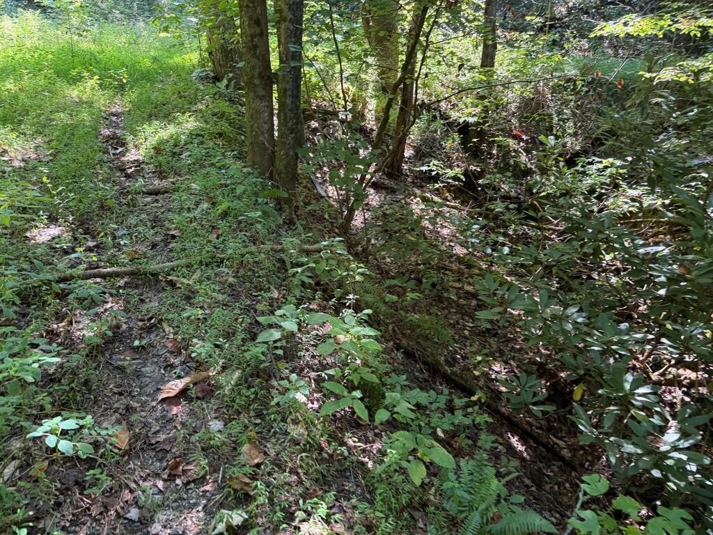 Picture 14