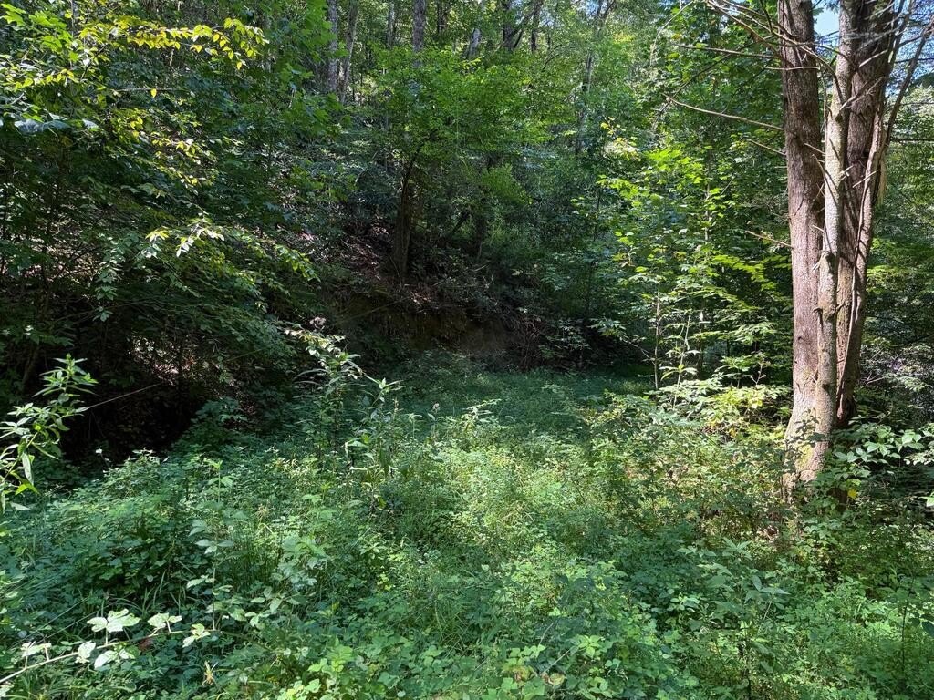 Picture 21