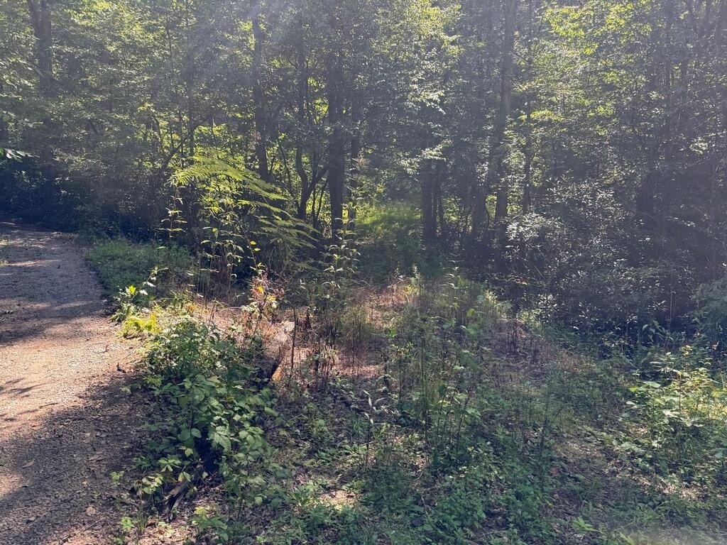 Picture 8