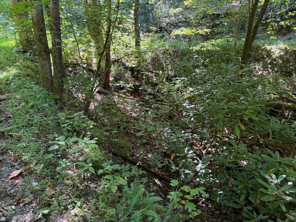 Picture 13