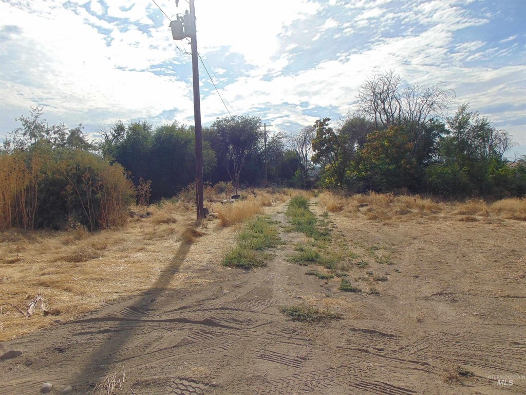 Picture 6
