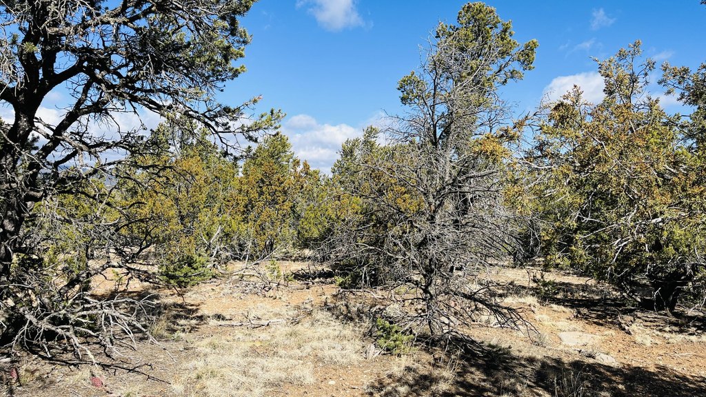 Picture 14