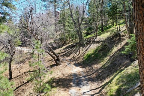 Lake Arrowhead Treed Vacant Lot