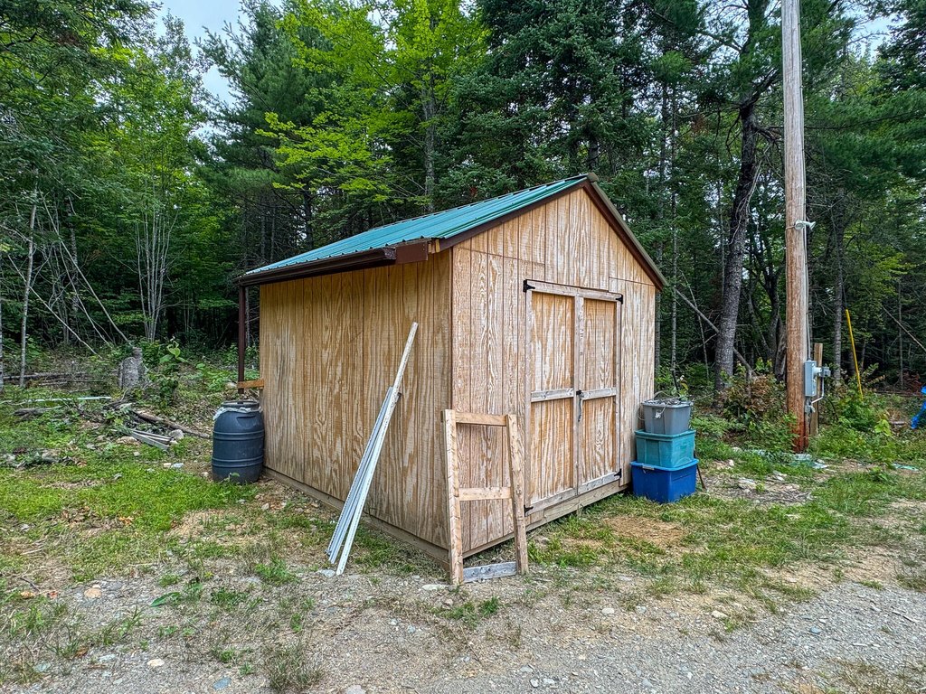 Picture 4