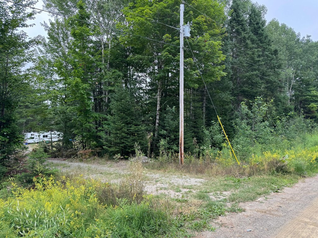 Picture 19