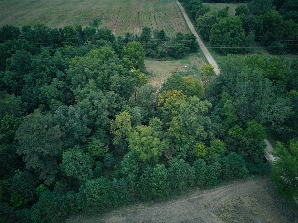 Picture 18
