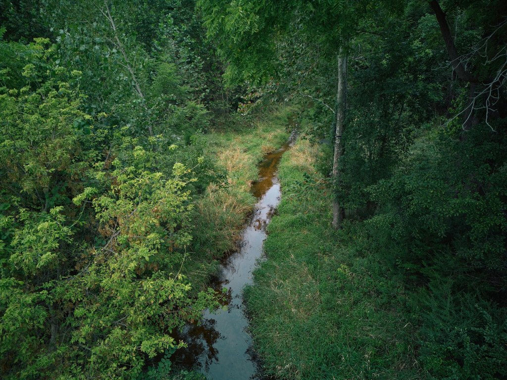 Picture 12