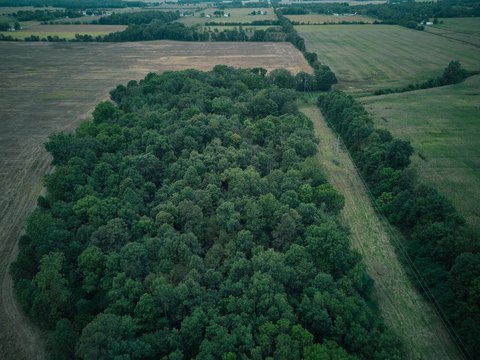 Land, Bronson, MI