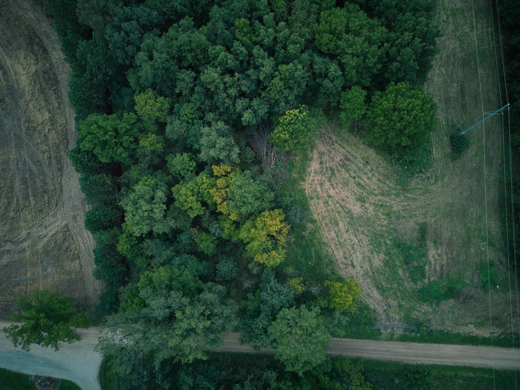 Picture 3