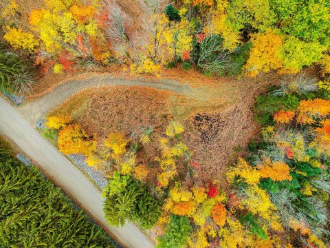 Land, Elmore, VT