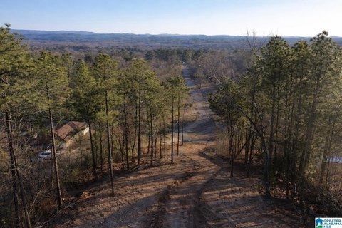 Residential Land in Oxford, AL