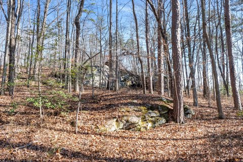 Land, Dunlap, TN
