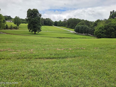 Lots & Acreage, Vonore, TN