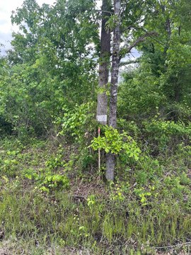 Crossett, AR Hunting/Investment Land