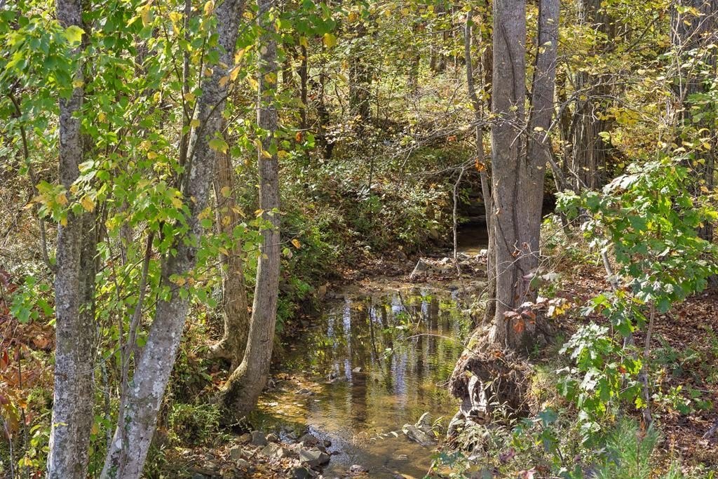 Creek Front Lot in Georgia
