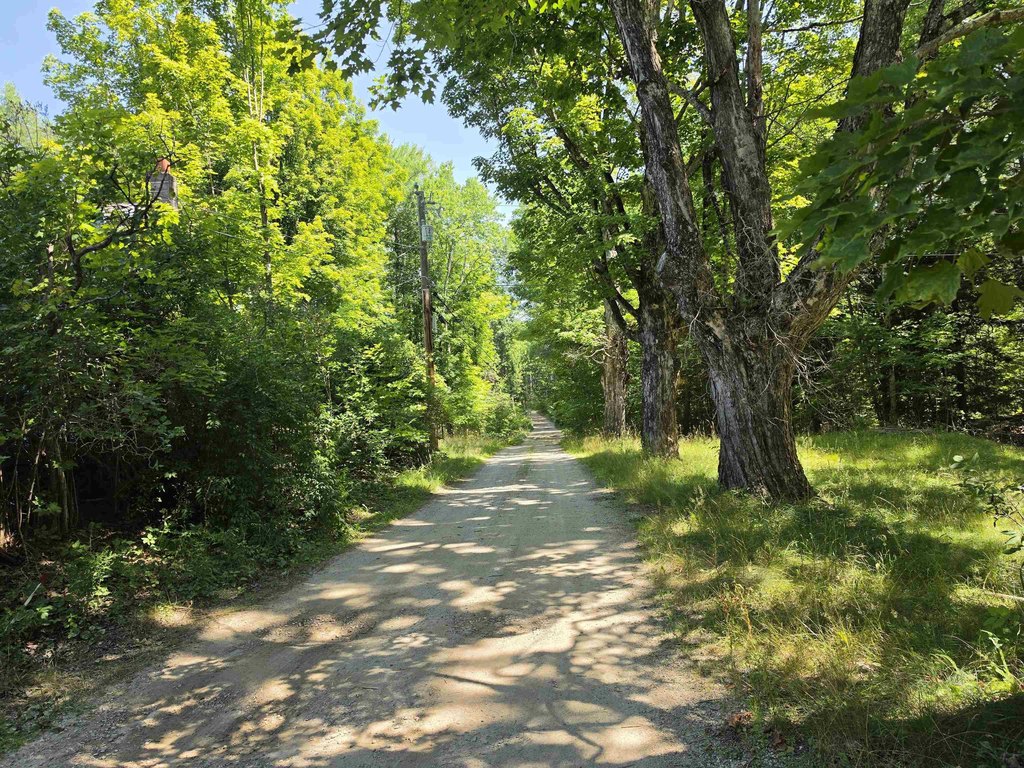 Picture 18