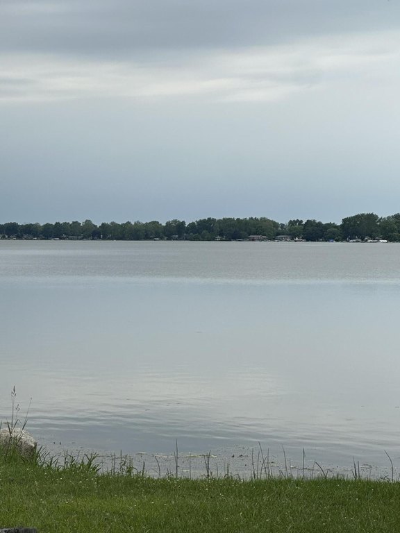 Picture 8