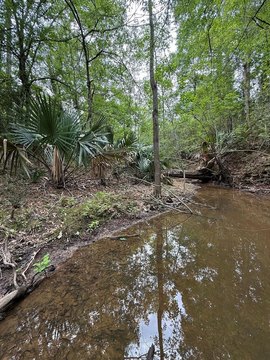 250 Acres Hunting Land Saratoga