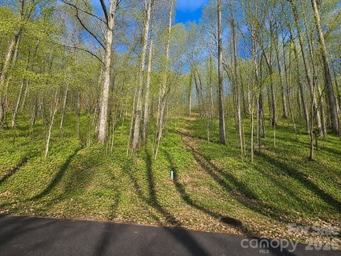 Waynesville Mountain Homesite For Sale