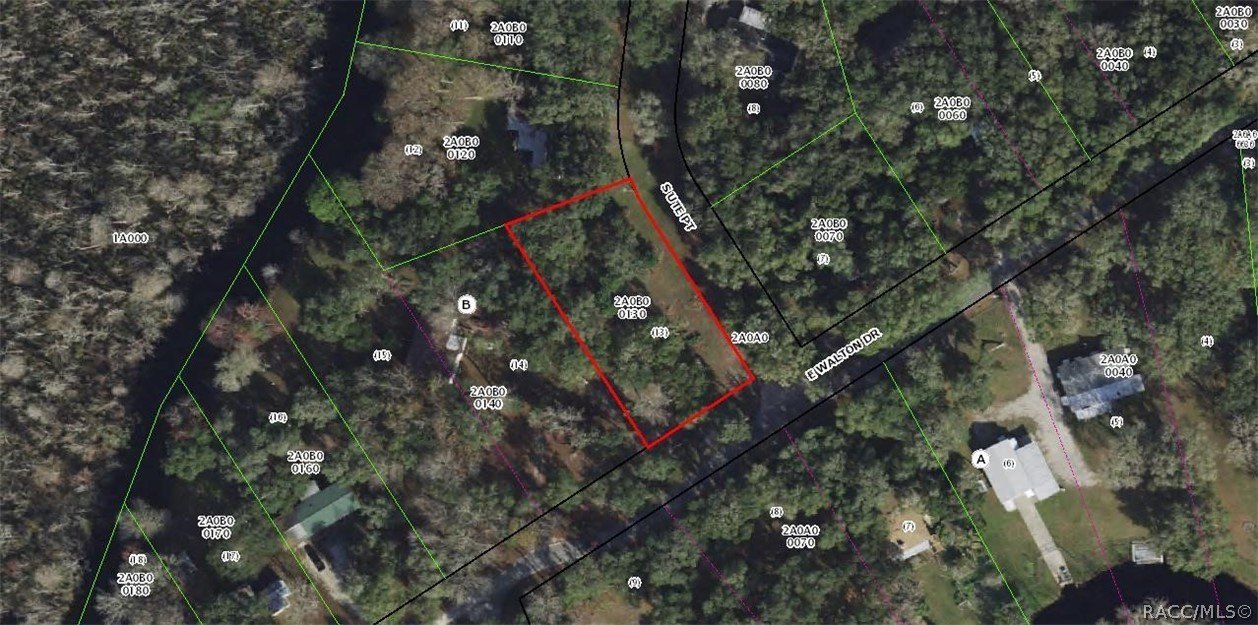 Vacant Land in Floral City